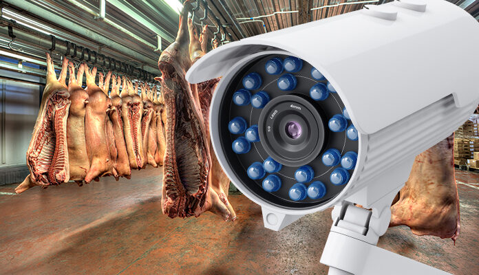 Camera voor geslachte dieren