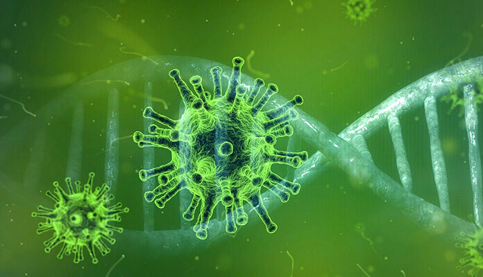 Coronavirus