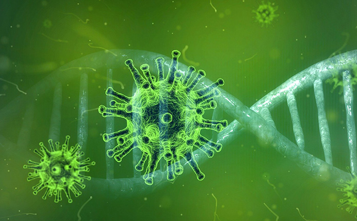 Coronavirus