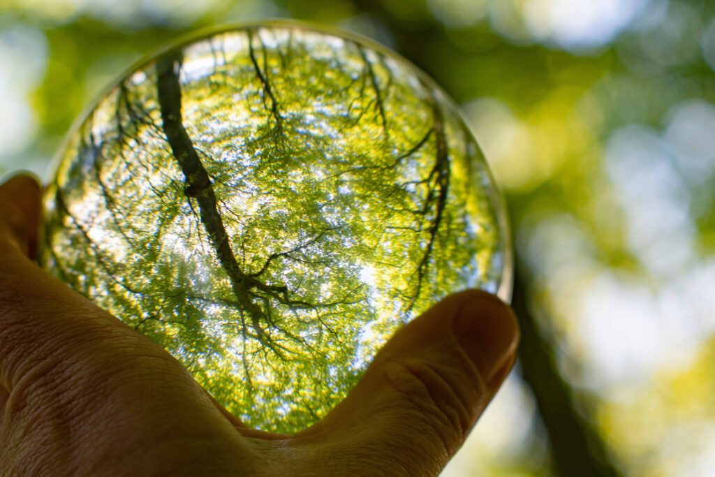 Glazen bol waarin bomen te zien zijn
