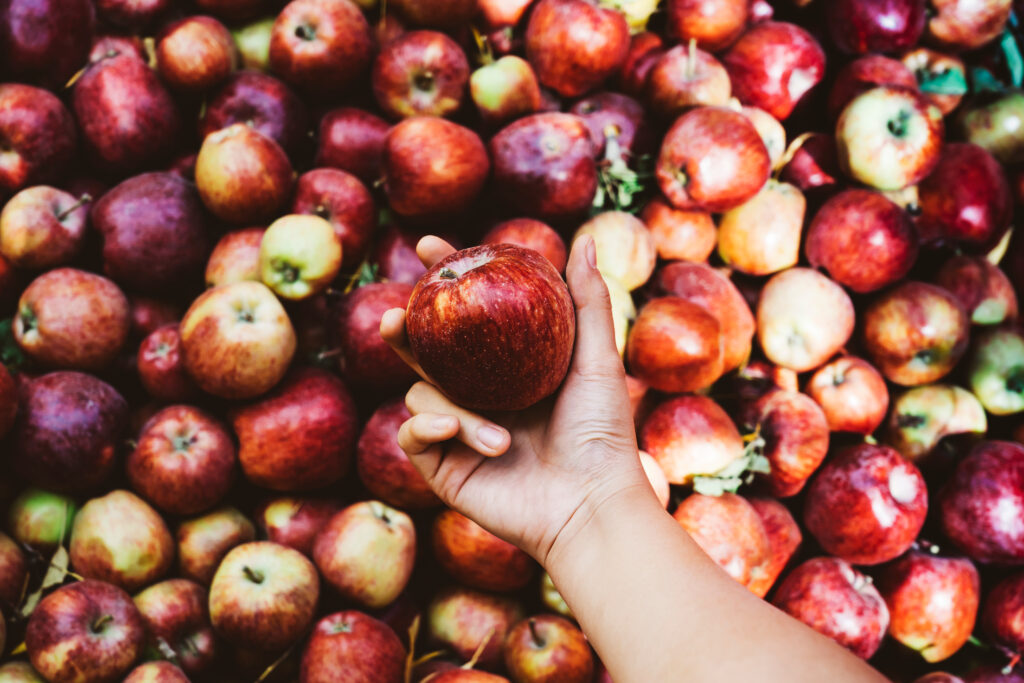 Appels