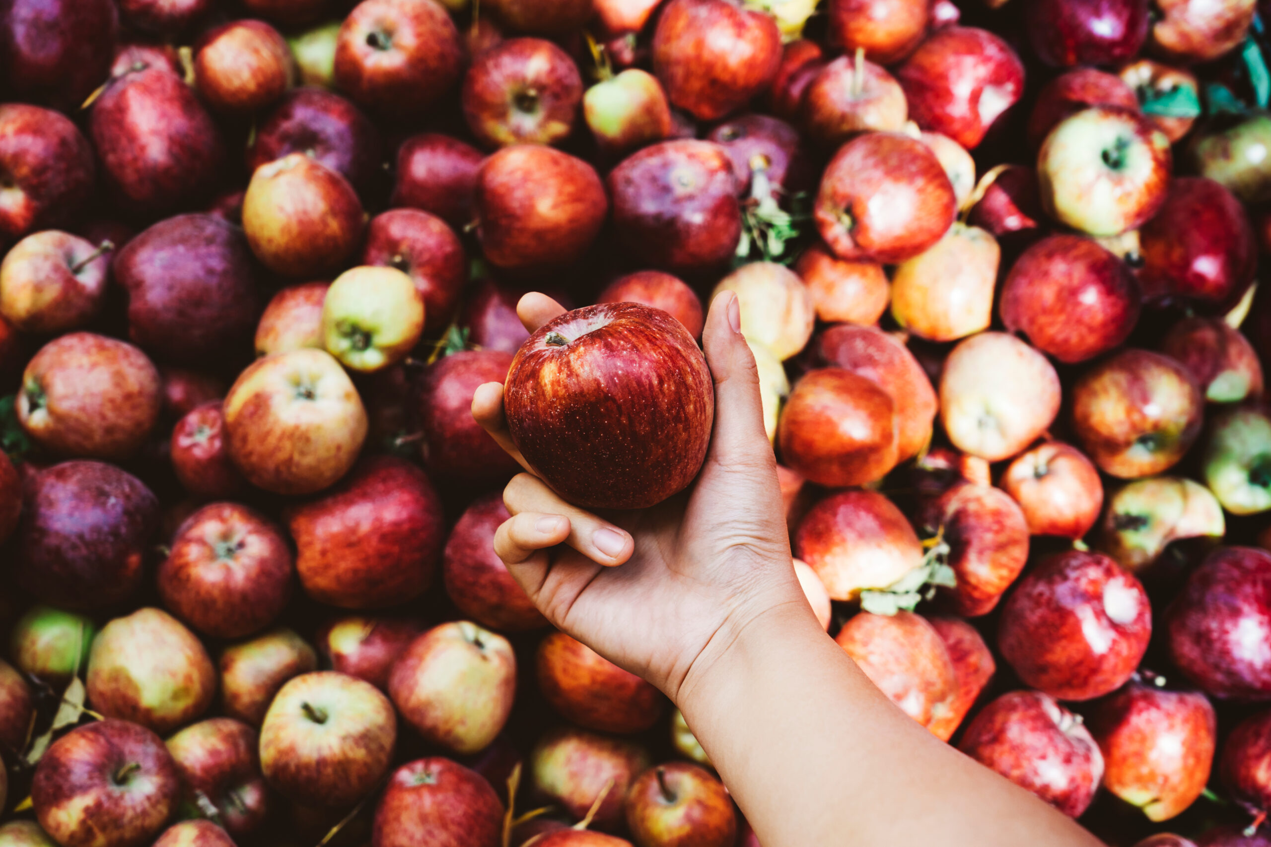 Appels